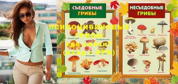 сатива Богданович