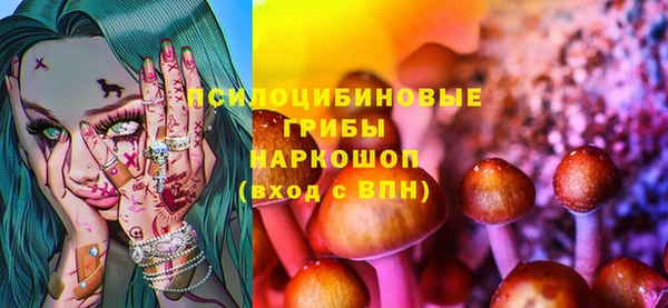 apvp Белокуриха