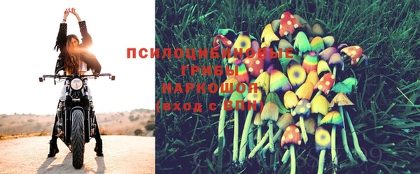 сатива Богородск