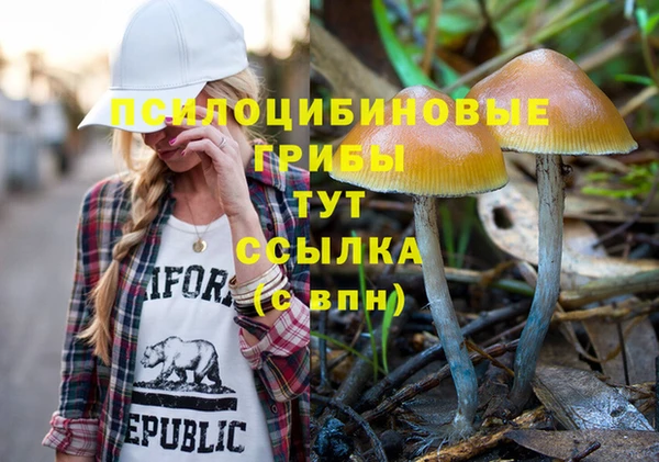 амфетамин Богородицк