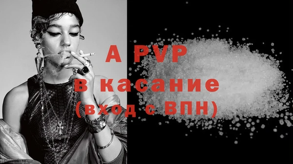 сатива Богданович